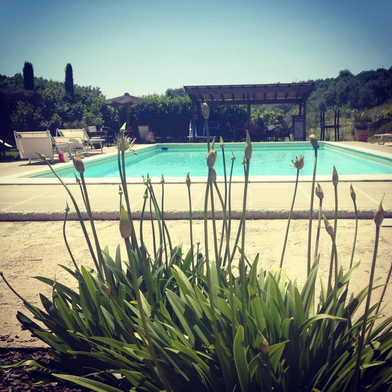 Il Borghetto Andrea Tafi Konuk evi Lamporecchio Dış mekan fotoğraf