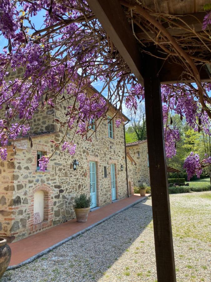 Il Borghetto Andrea Tafi Konuk evi Lamporecchio Dış mekan fotoğraf