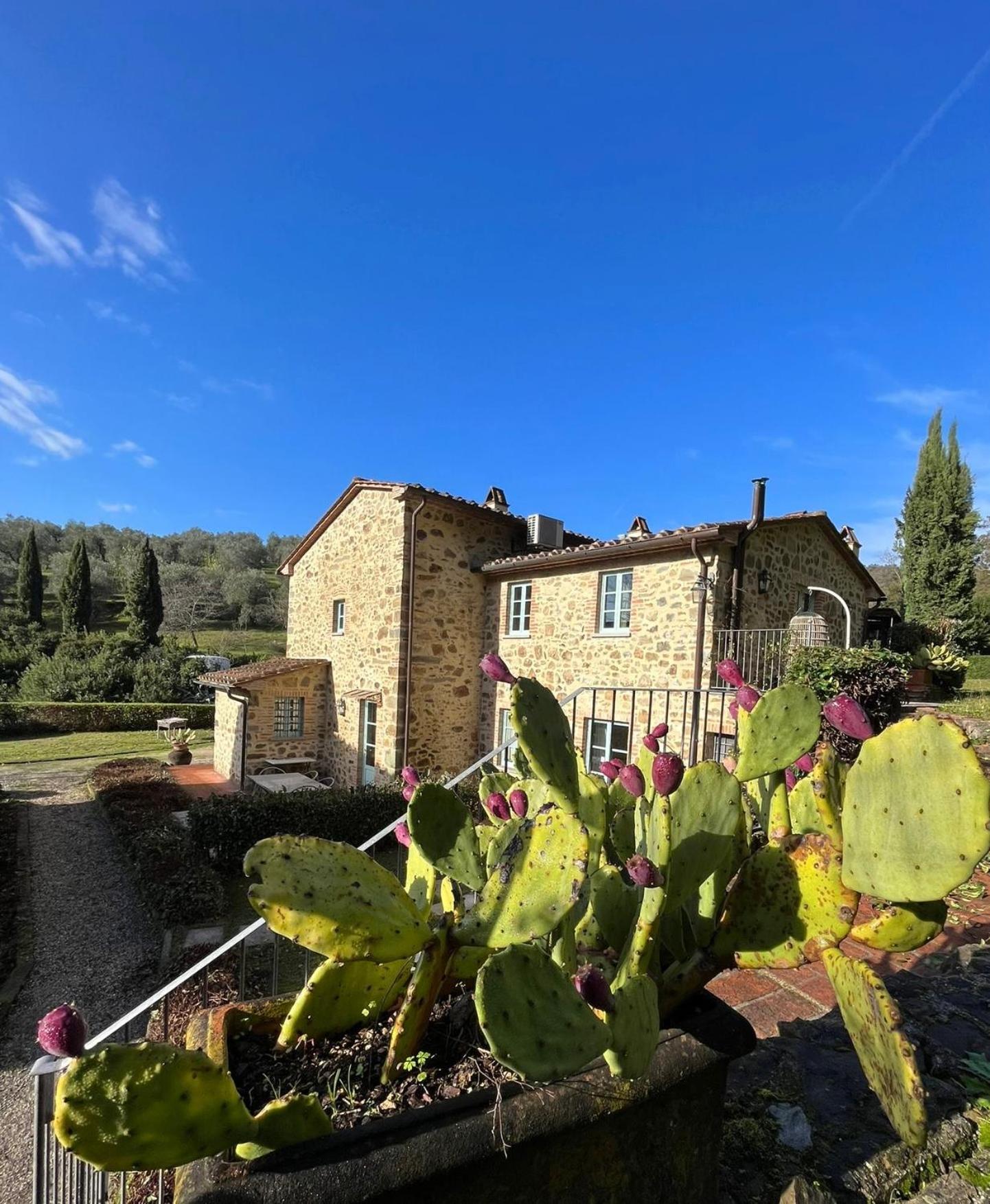 Il Borghetto Andrea Tafi Konuk evi Lamporecchio Dış mekan fotoğraf